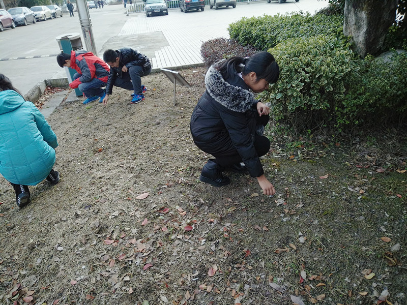 團(tuán)委組織青年志愿者義務(wù)清理校園